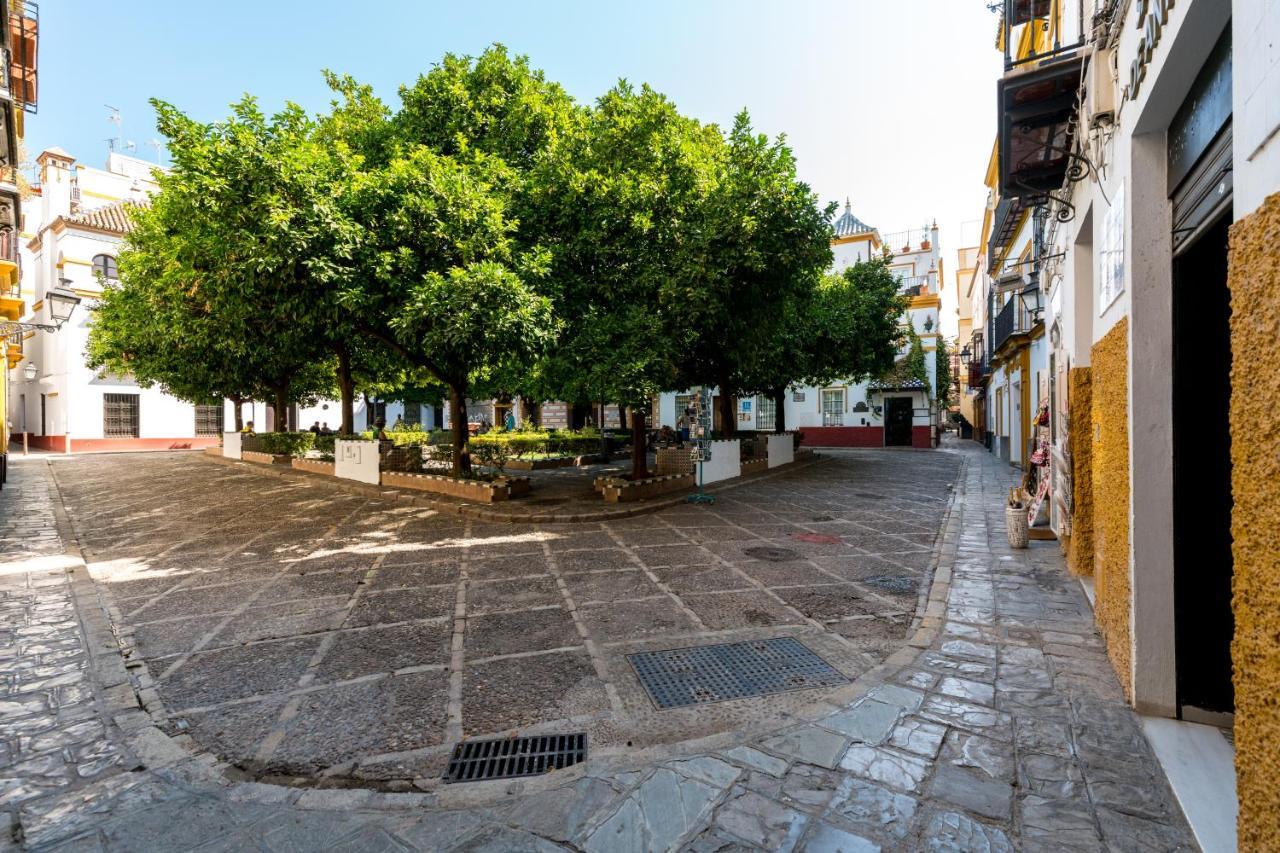 Dona Elvira Cathedral * Siviglia